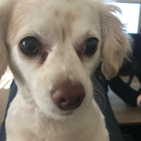 Meet your Posher: Sophie - Picture 6 of 7